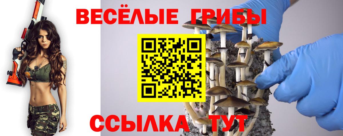 Галлюциногенные грибы Psilocybe  Вход с VPN  Калуга 